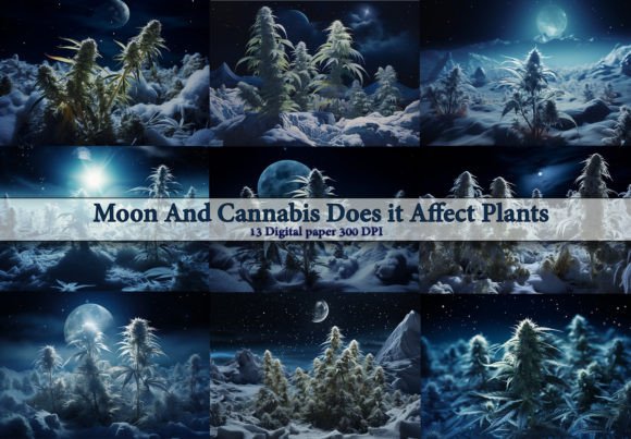Moon and Cannabis Backgrounds: A Designerβs Review